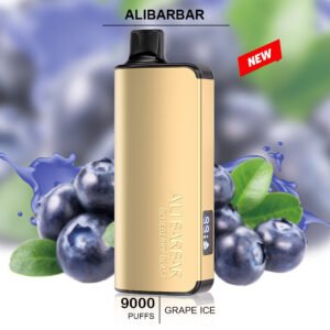 HOME iget bar pro grape ice 10000 puffs 1