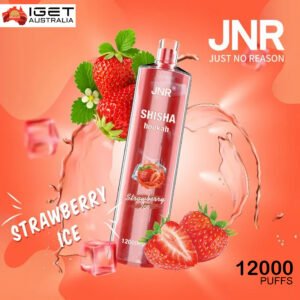 watermelon ice